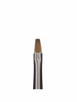 Magnetic Brush Flat 4 Transp