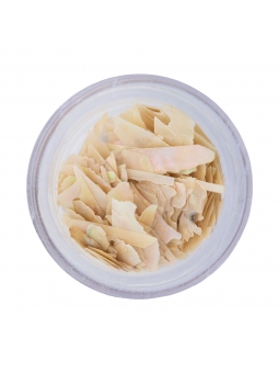 Inlay Shell Sheets Ivory